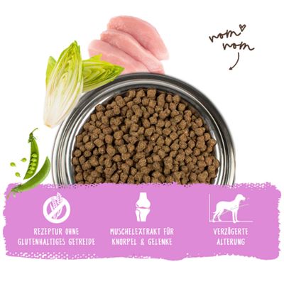 Futternapf mit Trockenfutter, Erbsen, Chicorée und Fleisch. Text: Rezeptur ohne glutenhaltiges Getreide, Muschelextrakt für Knorpel & Gelenke, verzögerte Alterung.