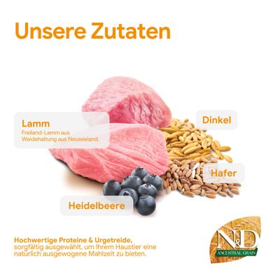Unsere Zutaten: Lamm aus Weidehaltung Neuseeland, Dinkel, Hafer, Heidelbeere. Hochwertige Proteine und Urgetreide für ausgewogene Mahlzeit. N&D Ancestral Grain.