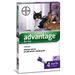 Advantage® soluzione spot-on per gatti e conigli Set %: 2 x 4 pipette da 0,8 ml