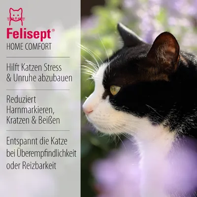 Felisept Home Comfort. Hilft Katzen Stress und Unruhe abzubauen, reduziert Harnmarkieren, Kratzen und Beissen, entspannt die Katze bei Überempfindlichkeit oder Reizbarkeit.