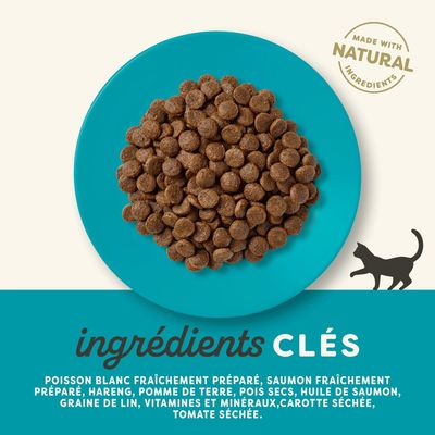 Applaws Ocean Fish with Salmon Adult Cat, croquettes pour chat adulte, 60 % protéines animales minimum, sans céréales, ingrédients naturels, 350 g. Texte en anglais sur l'emballage.
