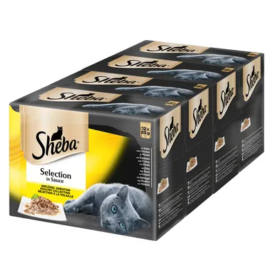 Confezione Sheba Selection in Sauce, 12 x 85 g, variante pollame. Immagine di un gatto grigio e ciotola con bocconcini in salsa. Testo visibile: pollo, tacchino, anatra, oca.