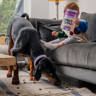 Pooch & Mutt Calm & Relaxed Meaty Treats with Turkey, Hemp & Postbiotics - 120g