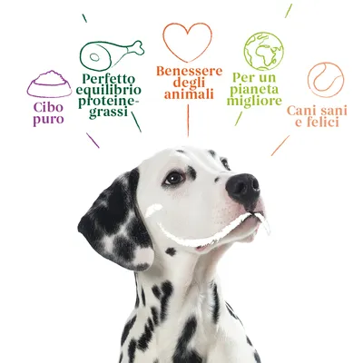 Cibo puro, Perfetto equilibrio proteine-grassi, Benessere degli animali, Per un pianeta migliore, Cani sani e felici. Testo con icone sopra un cane dalmata.