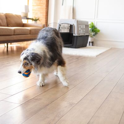 Chuckit! Ultra Ball S