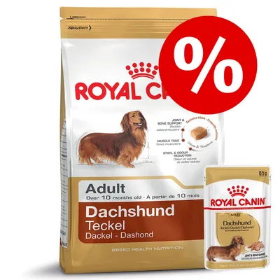 Royal Canin Adult Dachshund Teckel hondenvoer, grote zak en natvoerzakje 85g, zichtbaar kortingssymbool (%) op de verpakking.