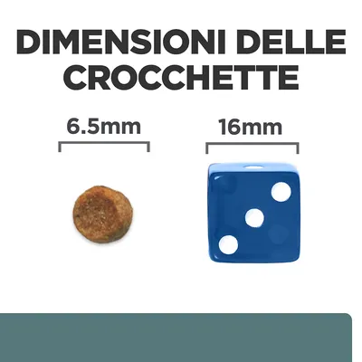 Dimensioni delle crocchette: diametro 6,5 mm a confronto con un dado blu da 16 mm. Testo visibile: 'DIMENSIONI DELLE CROCCHETTE', '6.5 mm', '16 mm'.