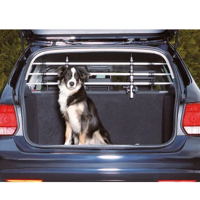 Barrière de sécurité en métal installée dans le coffre d’une voiture, un chien assis à l’intérieur devant la barrière.