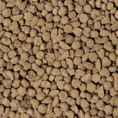 Nahaufnahme von braunen Trockenfutterstücken in verschiedenen Formen und Grössen. Nahaufnahme von braunen Trockenfutterstücken in verschiedenen Formen und Grössen.
