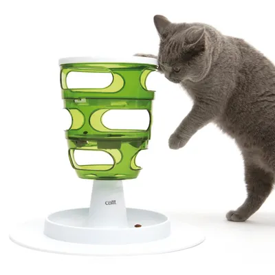 Kat speelt met groene Catit voerpuzzel van plastic, voer zichtbaar op witte basis. Product toont merknaam 'catit' op de standaard.