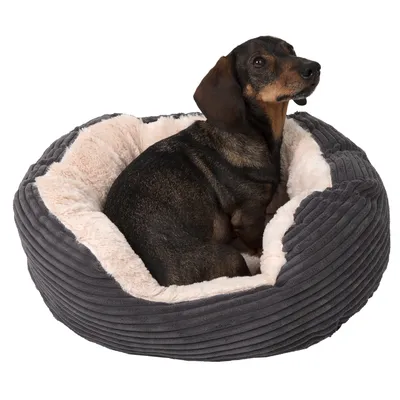 Petit chien à poil court assis dans un panier rond en tissu gris côtelé avec intérieur beige doux, présenté sur fond blanc.