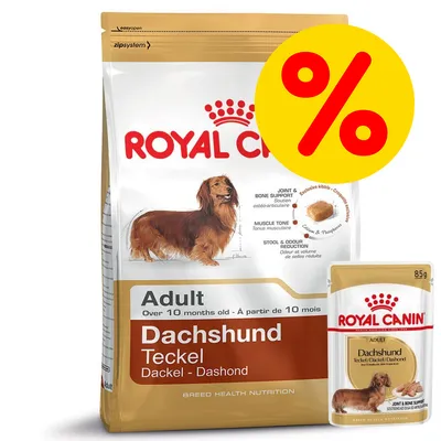 Royal Canin Adult Dachshund hondenvoer, afbeelding van teckel op verpakking, tekst: Joint & Bone Support, Muscle Tone, Stool & Odour Reduction, grote gele kortingssymbool met procentteken.