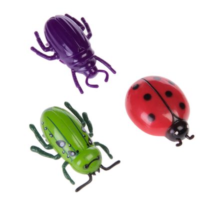 Insect Cat Toys 3-Piece Set
