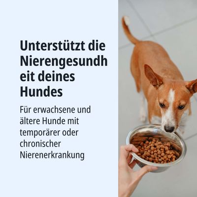 Unterstützt die Nierengesundheit deines Hundes. Für erwachsene und ältere Hunde mit temporärer oder chronischer Nierenerkrankung.