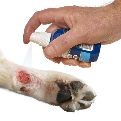 Application d’un spray bleu sur une plaie visible à la patte d’un chien, main tenant le flacon. Étiquette partiellement lisible avec symboles et texte.