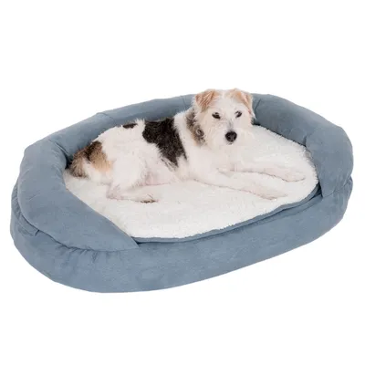 Oval dog bed with blue border and white, soft lying surface.