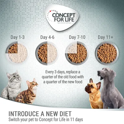 Feeding guide showing how to switch pet food: every 3 days, replace a quarter of old food with new food. Full switch to Concept for Life in 11 days.
