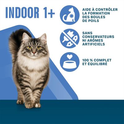 INDOOR 1+, aide à contrôler les boules de poils, sans conservateurs ni arômes artificiels, 100 % complet et équilibré.