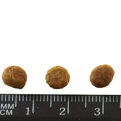Three round brown kibble pieces shown above a black ruler marked in cm and mm, each piece about 1.2 cm wide.