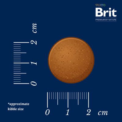 Brit Premium by Nature hundefoder til voksne hunde af store racer (45-90 kg), XL, med 48% kylling, GMO-fri, støtter led og immunsystem.