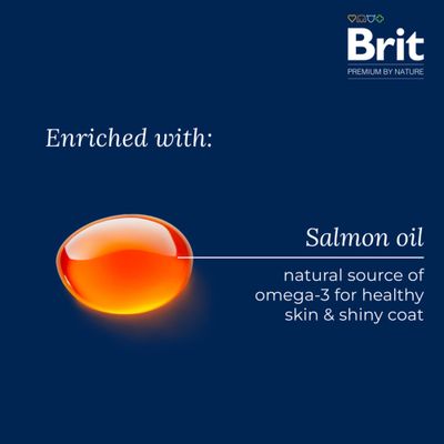 Brit Premium by Nature, Huhn 50%, für kleine erwachsene Hunde 1-10 kg, GMO-frei, Grösse S, mit Lachsöl und Kräutern.