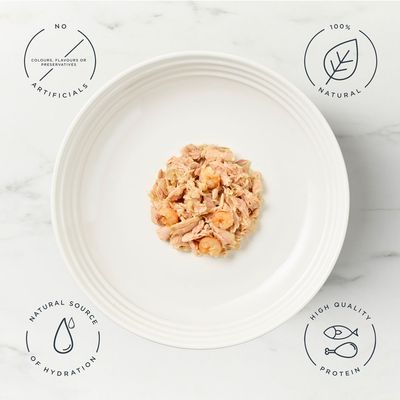 Encore Cat Broth Pouch 16 x 70g - Tuna Fillet with Prawn