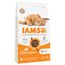 IAMS Advanced Nutrition Adult Cat met Kip 3 kg