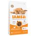 IAMS Advanced Nutrition Adult Cat met Kip 3 kg