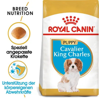 Royal Canin Puppy Cavalier King Charles. Speziell angepasste Krokette. Unterstützung der körpereigenen Abwehrkräfte. Royal Canin Puppy Cavalier King Charles. Speziell angepasste Krokette. Unterstützung der körpereigenen Abwehrkräfte.