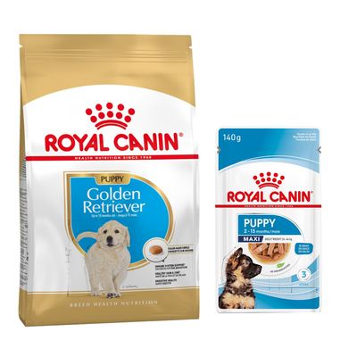 Royal Canin Breed 1,5 à 12 kg pour chien + aliment humide : 15 % de remise ! - Golden Retriever Puppy (12 kg) + sachets Maxi Puppy en sauce (10 x 140 g)