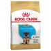 Royal Canin German Shepherd Puppy 2 x 12 kg