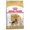 Royal Canin German Shepherd Adult Hondenvoer Dubbelpak: 2 x 11 kg