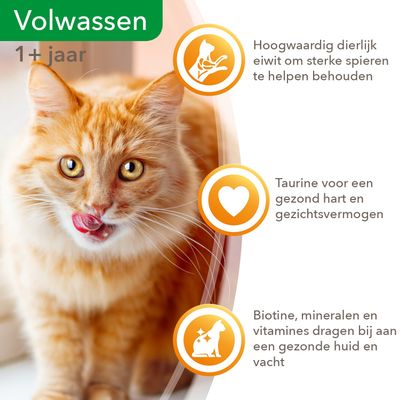 Volwassen 1+ jaar. Hoogwaardig dierlijk eiwit voor sterke spieren, taurine voor hart en gezichtsvermogen, biotine, mineralen en vitamines voor gezonde huid en vacht.