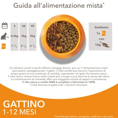  IAMS Advanced Nutrition Kitten Pollo in Salsa - Set %: 48 x 85 g