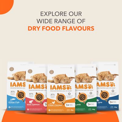 IAMS kattefoder med laks, 87% animalsk protein, til katte fra 1 år. 100% afbalanceret ernæring, stærkt immunsystem, 3 kg, genanvendelig emballage, uden kunstige tilsætningsstoffer.