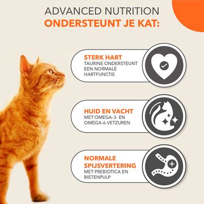 IAMS kattenvoer met zalm, 87% dierlijk eiwit, voor katten vanaf 1 jaar. 100% uitgebalanceerde voeding, sterk immuunsysteem, 3kg, recyclebare verpakking, zonder kunstmatige toevoegingen.