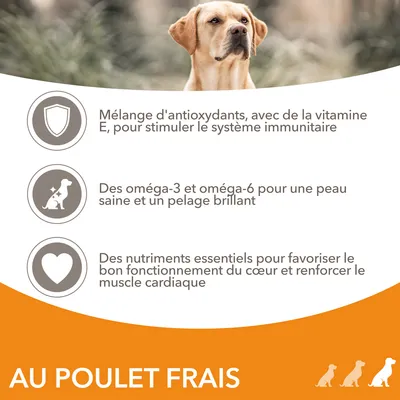 Mélange d'antioxydants avec vitamine E, oméga-3 et oméga-6 pour peau saine, nutriments essentiels pour le cœur, texte : AU POULET FRAIS