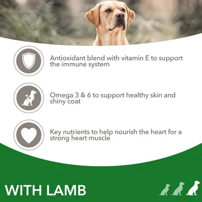 Antioxidant blend with vitamin E for immune support, omega 3 and 6 for healthy skin and coat, key nutrients for strong heart muscle. With lamb.