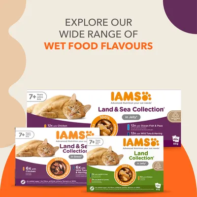 IAMS Advanced Nutrition Senior 7+ Land & Sea Collection hyytelössä - 48 x 85 g