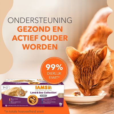 Ondersteuning gezond en actief ouder worden. 99% dierlijk eiwit*. IAMS Land & Sea Collection in Jelly kattenvoer, 7+ jaar, 48x85g. *in totale hoeveelheid eiwit.