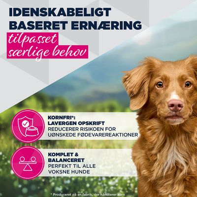 Kornfri, allergenfattig opskrift reducerer risikoen for uønskede foderreaktioner. Komplet og afbalanceret, perfekt til alle voksne hunde.