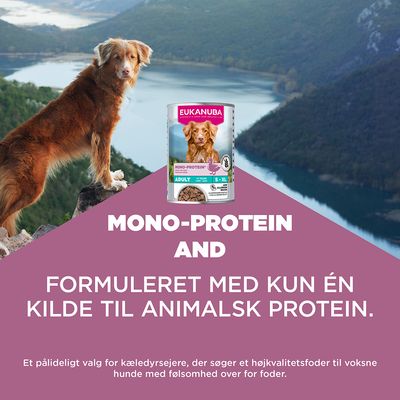 Eukanuba Mono-Protein Adult S-XL, разработан только лишь с одним источником животного белка. Для взрослых собак с непереносимостью кормов.