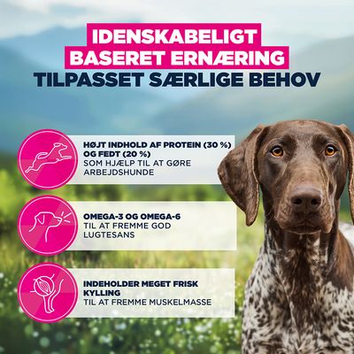 Højt indhold af protein (30 %) og fedt (20 %), omega-3 og omega-6, indeholder meget frisk kylling. Videnskabeligt baseret ernæring til særlige behov.