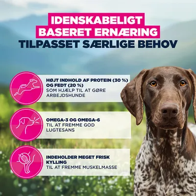 Højt indhold af protein (30 %) og fedt (20 %), omega-3 og omega-6, indeholder meget frisk kylling. Videnskabeligt baseret ernæring til særlige behov. Højt indhold af protein (30 %) og fedt (20 %), omega-3 og omega-6, indeholder meget frisk kylling. Videnskabeligt baseret ernæring til særlige behov.