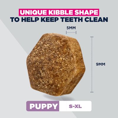 Eukanuba Special Care Sensitive Digestion Puppy s kuřecím a krůtím - 12 kg