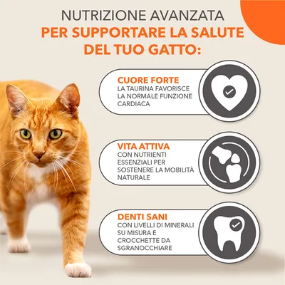 IAMS Advanced Nutrition Senior 7+ con Tonno Crocchette gatto - 3 kg