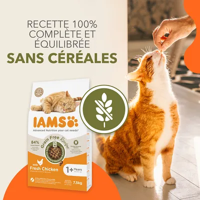 Texte : Recette 100 % complète et équilibrée sans céréales. IAMS Grain Free Recipe with Fresh Chicken, 1+ Years, 7,5 kg. Icône sans céréales visible.