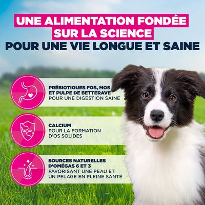 Eukanuba Premium Nutrition Puppy Medium Breed poulet 3 ou 15 kg + 100 g Adult offerts !