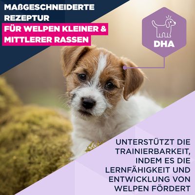 Eukanuba Premium Nutrition Puppy Small & Medium Breed Lamm & Reis - Sparpaket: 2 x 3 kg