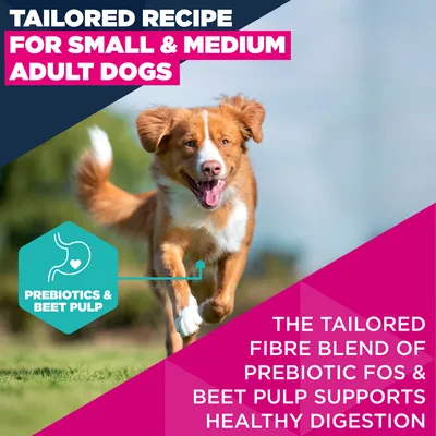 Eukanuba Premium Nutrition Adult Small & Medium Breed lohi - 12 kg
